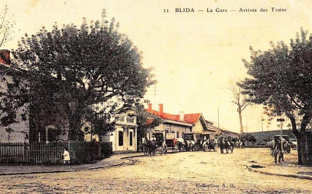 Blida 004.jpg